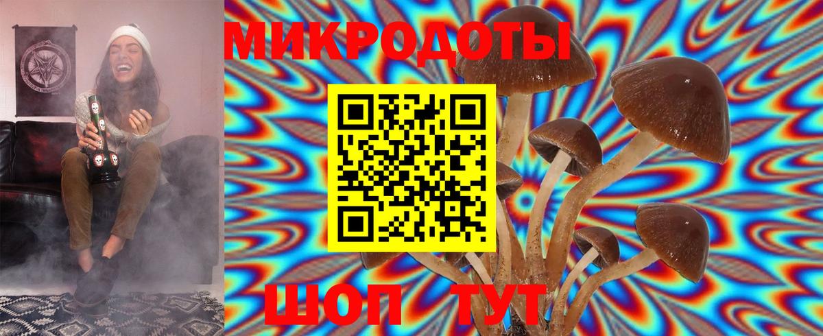 Галлюциногенные грибы мухоморы  Вход с VPN  Елец 