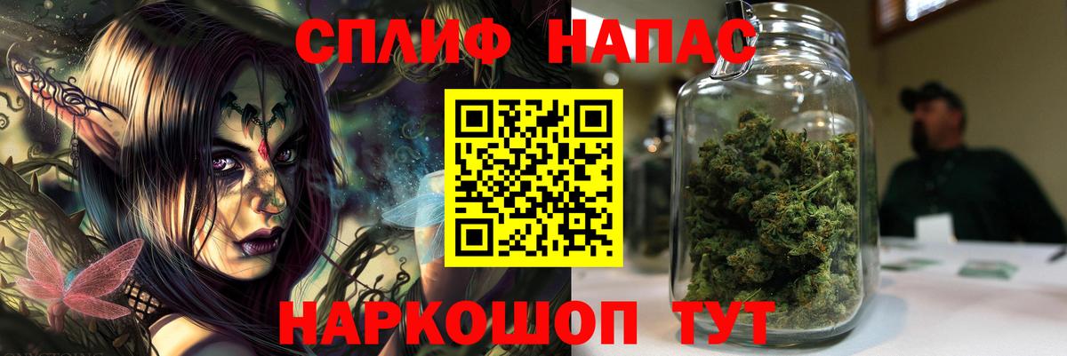 Бошки Шишки план Елец